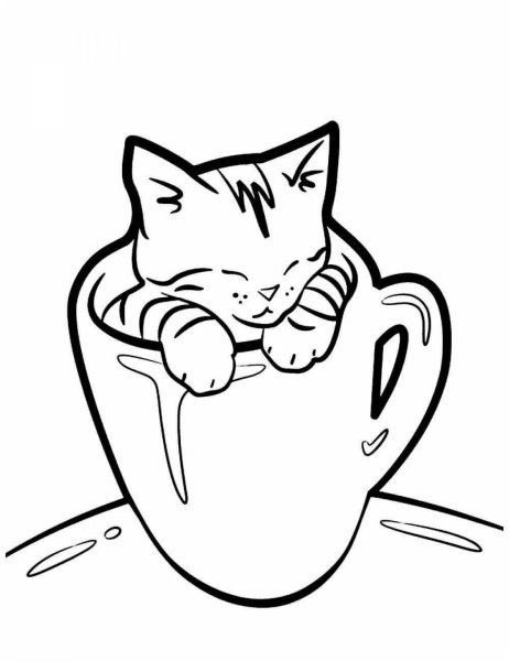 Раскраска. Котики