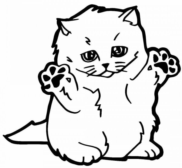 Нарисовать сидящего кота