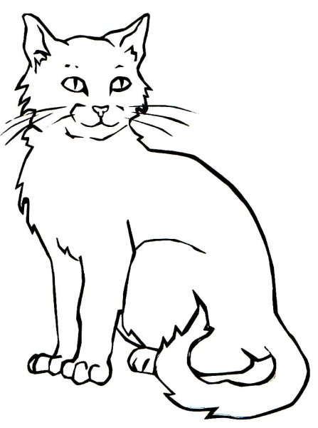 Рисунки котиков для срисовки