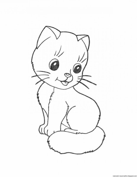 Кот сидит раскраска для детей