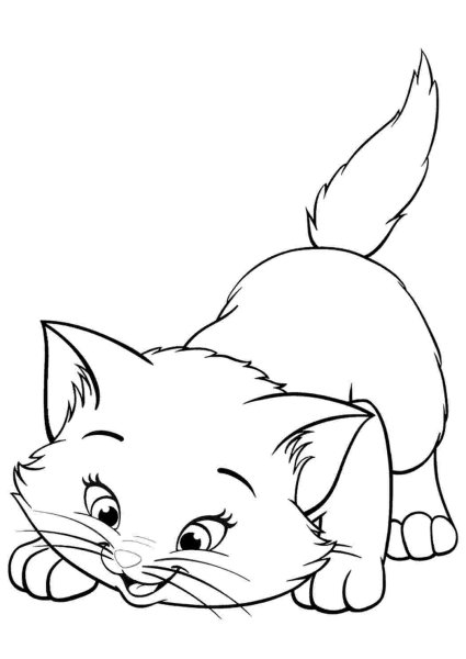 Котята раскраска живые