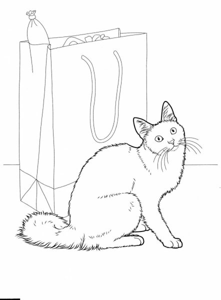 Котики. Раскраска для малышей