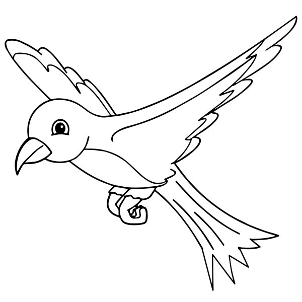Птицы. Раскраска