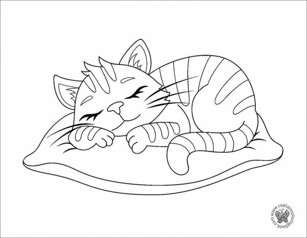 Спящий котик раскраска