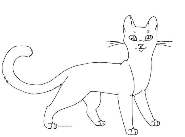 Раскраска. Котики