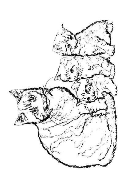 Раскрамкакошка с котенком