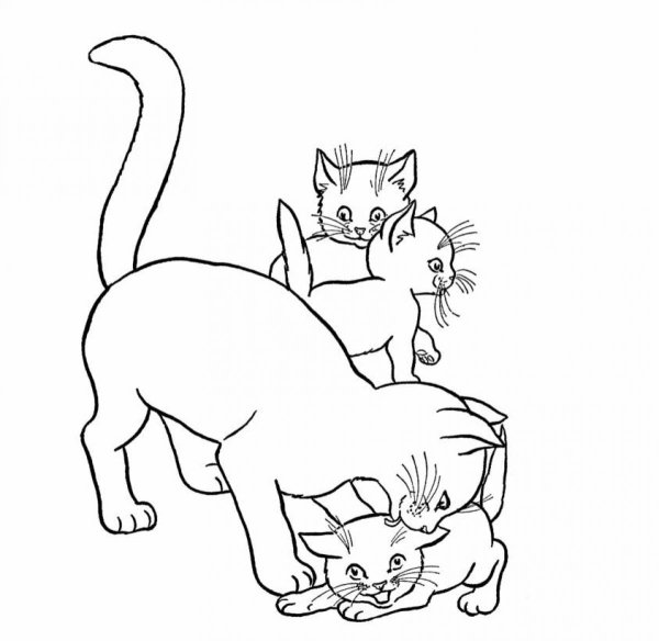 Кошка с котятами раскраска для детей