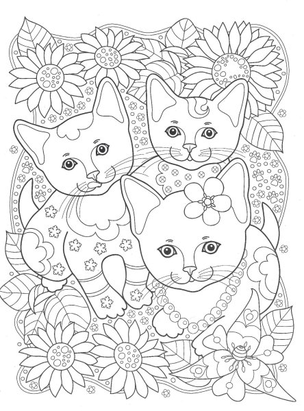 Раскраска кот