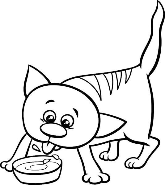 Раскраска котик с молоком