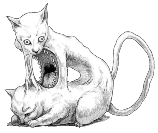 Кошка арт карандашом