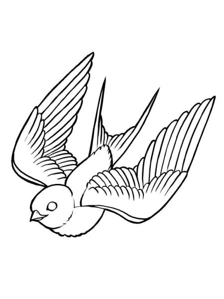 Птицы. Раскраска