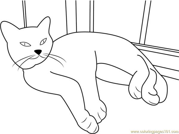 Кошка на окошке раскраска для детей
