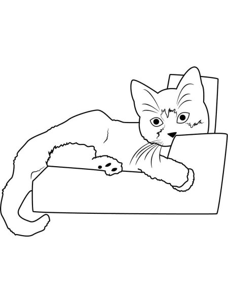 Кот спит раскраска