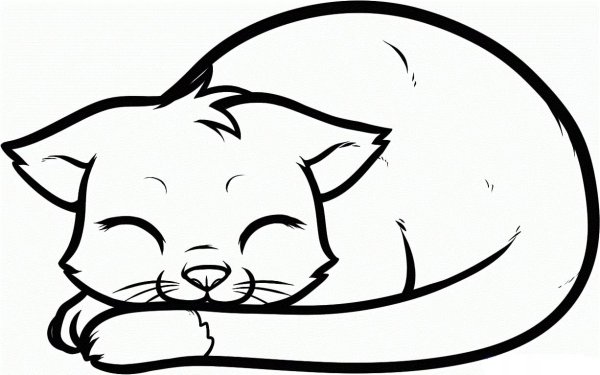 Спящий кот рисунок