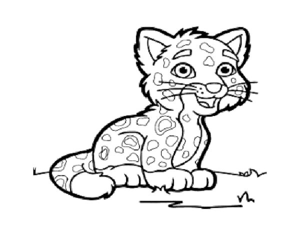 Раскраски котик леопард (46 фото)
