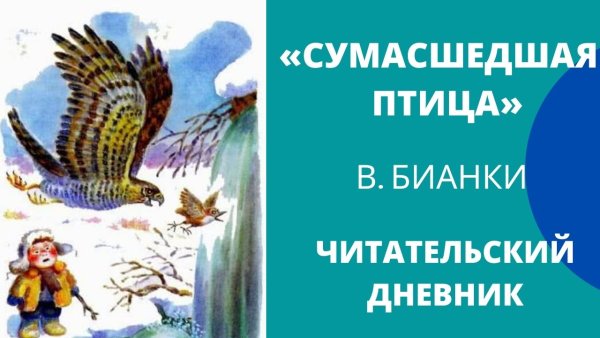 Сумасшедшая птица Бианки