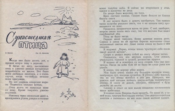 Виталий Бианки сумасшедшая птица