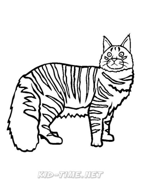 Раскраска кошка полосатая