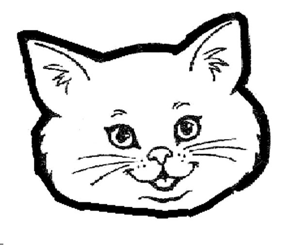 Морда кошки раскраска