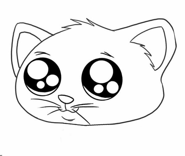 Мордочка котенка раскраска
