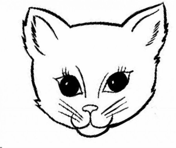 Морда кота для детей