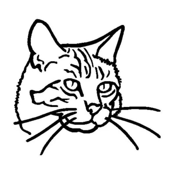 Голова кота раскраска