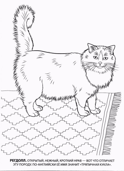 Кошки. Раскраска