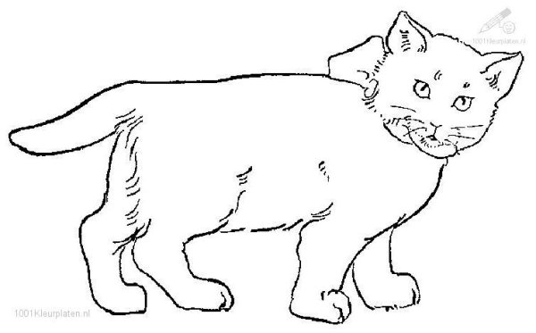 Кот рисунок iz linii