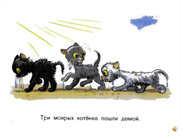 Три мокрых котенка