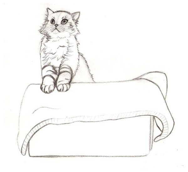 Нарисовать кота в Леданке