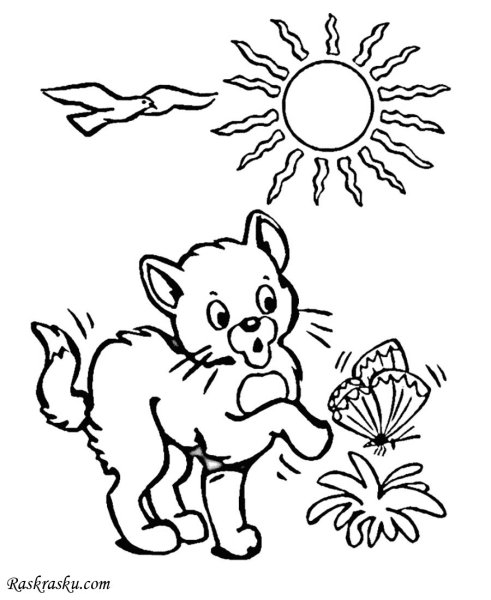 Раскраска котик с бабочкой