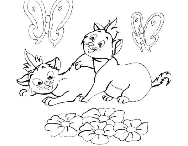 Котенок. Раскраска