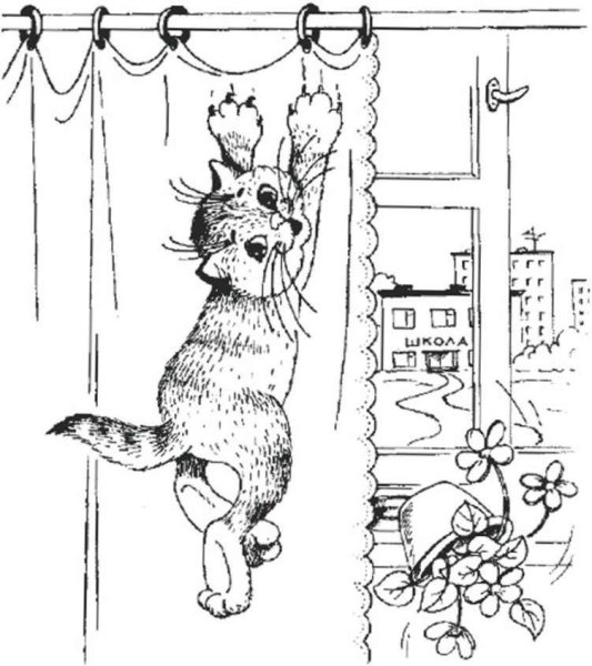 Раскраска котик в окошке