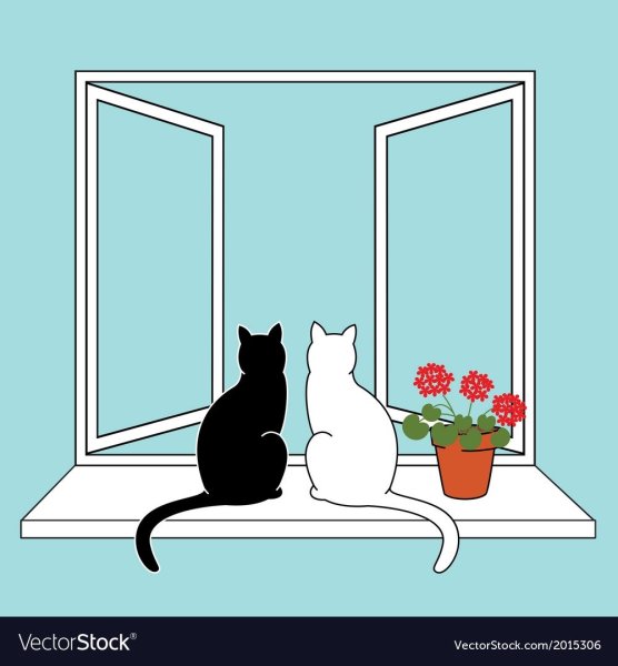 Кошка на окошке раскраска