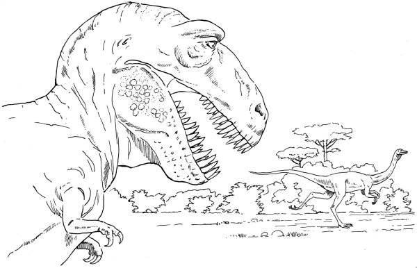 Раскраска Тираннозавр рекс мир Юрского периода
