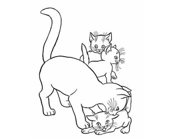 Раскраска котик с мамой