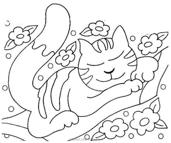 Котенок спит раскраска