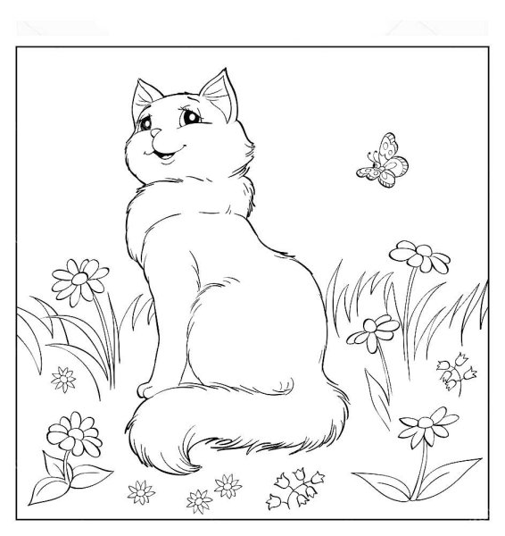 Котенок. Раскраска
