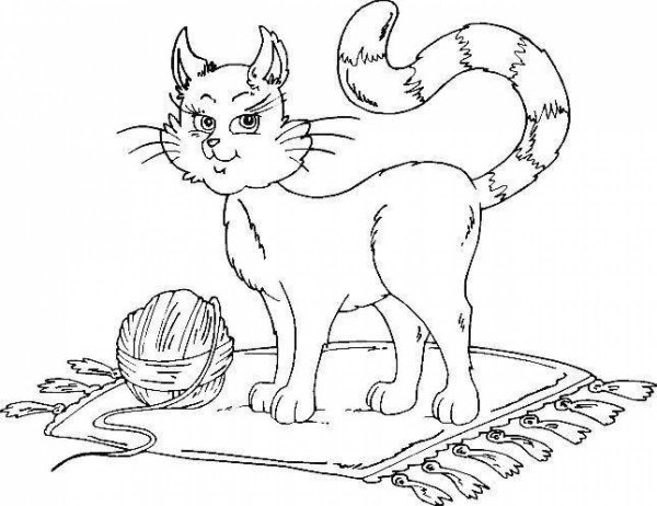Котенок. Раскраска