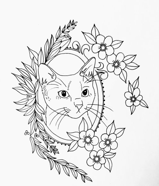 Контурные тату кота
