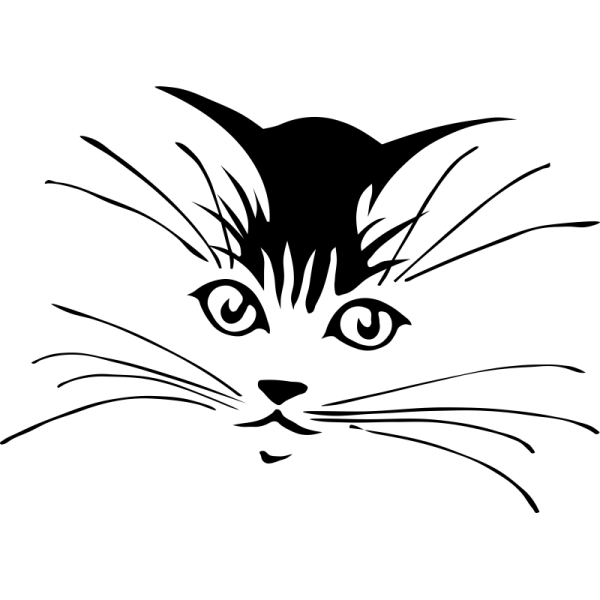Мордочка кошки рисунок