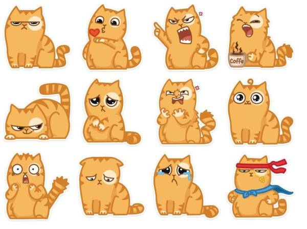 Кот персик грустный