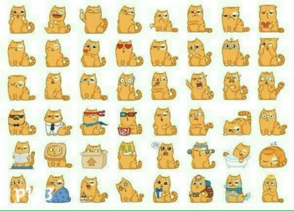 Милые котики много на одном листе