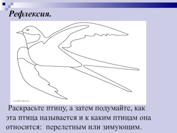 Рефлексия с птицами