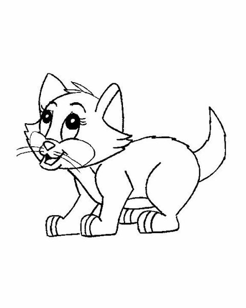 Раскраска котенка лайка