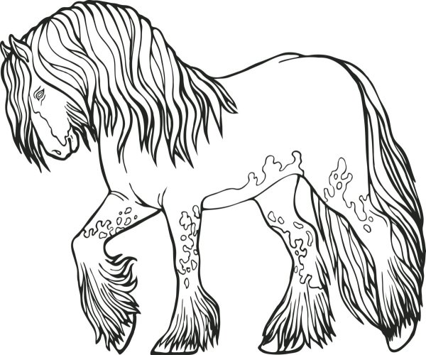 Лошадь Шайр раскраска