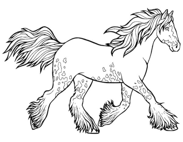 Раскраска Тинкер лошадь