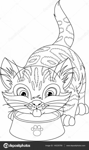 Кот с молоком раскраска