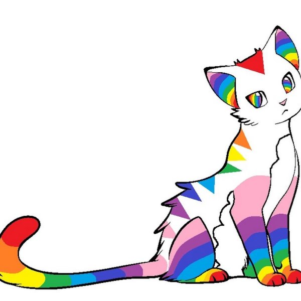 Разноцветная кошка