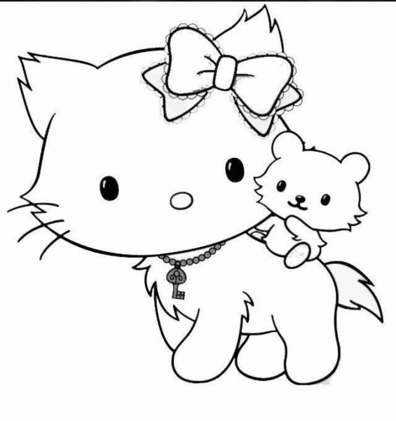 Раскраска кот